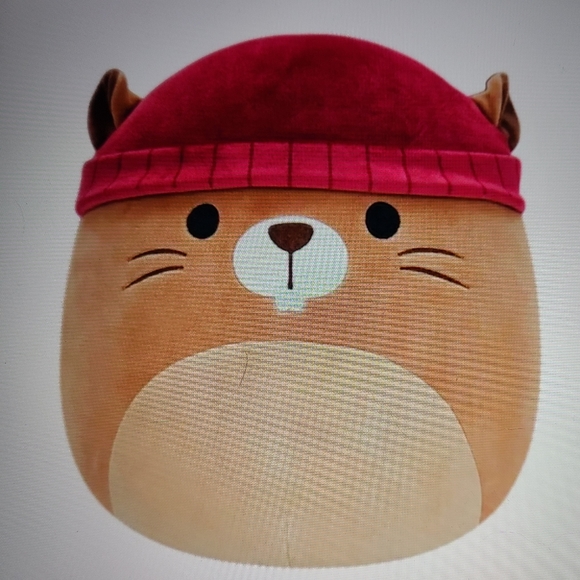 Squishmallows Other - SQUISHMALLOWS CHIP